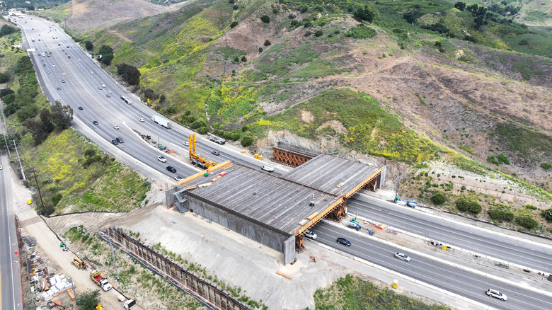 An aerial view of construction of the Wallis Annenberg Wildlife Crossing over the 101 Freeway on May 13, 2024 in Agoura Hills, California. The crossing outside of Los Angeles will provide a safe passage for wildlife, including the threatened local population of mountain lions, across the 10-lane freeway while connecting protected areas in the Santa Monica Mountains and the Sierra Madre Range. The 165-foot wide crossing, scheduled to be completed in 2026, will blend into the surroundings and allow wildlife to roam above the busy freeway where up to 300,000 vehicles pass daily. (Photo by Mario Tama/Getty Images)