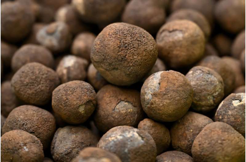 The Metals Company is pushing to be the first to mine these nodules in international waters. The Metals Company is pushing to be the first to mine these nodules in international waters