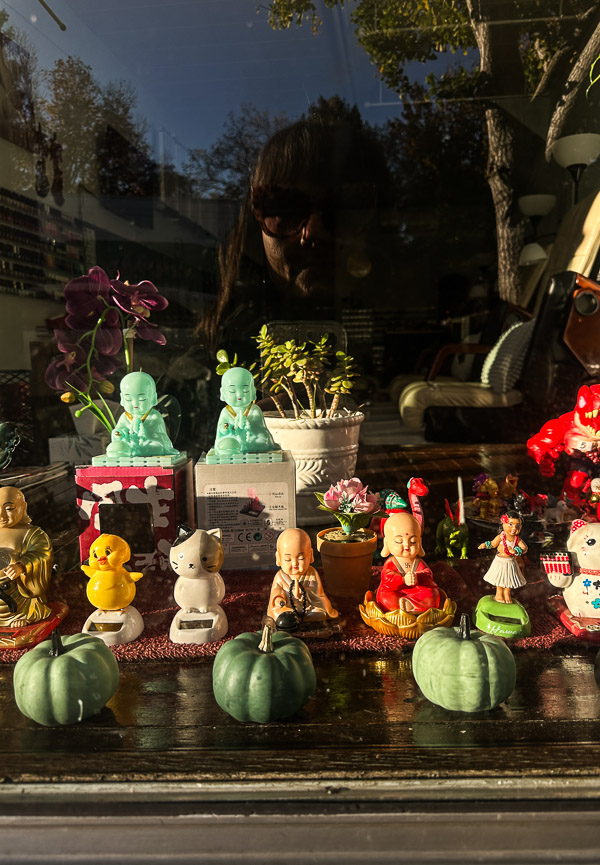 My Everyday Life Week 47 of 2025- Tracy Benjamin of Shutterbean.com