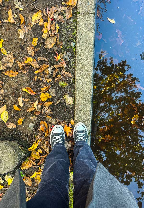 My Everyday Life Week 47 of 2025- Tracy Benjamin of Shutterbean.com