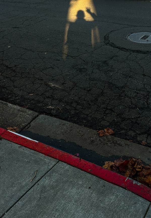 My Everyday Life Week 47 of 2025- Tracy Benjamin of Shutterbean.com