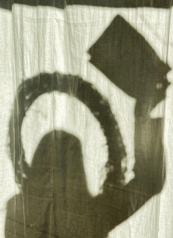 My Everyday Life Week 47 of 2025- Tracy Benjamin of Shutterbean.com