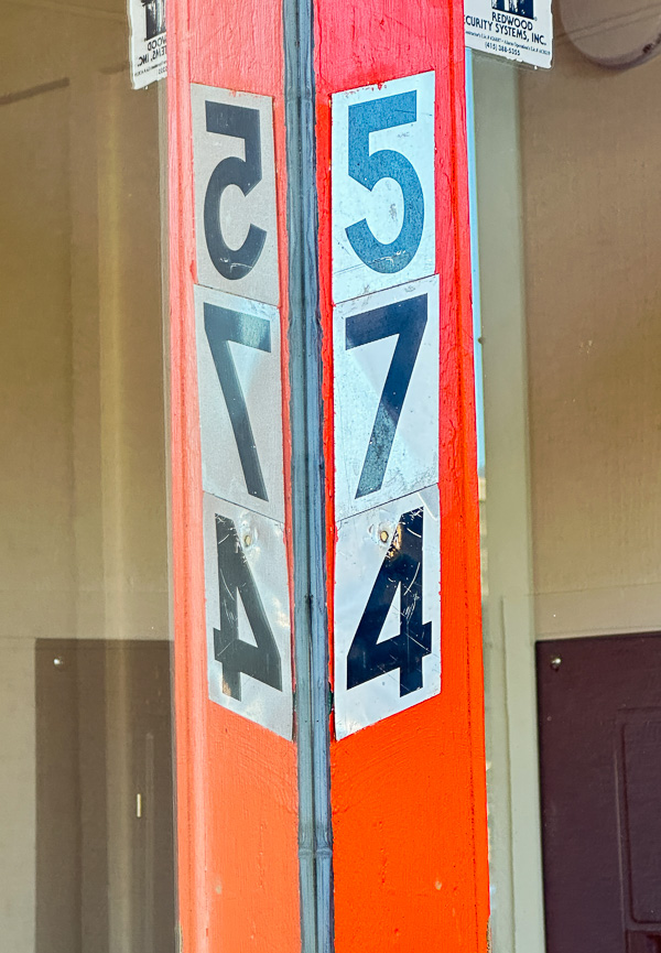 My Everyday Life Week 47 of 2025- Tracy Benjamin of Shutterbean.com