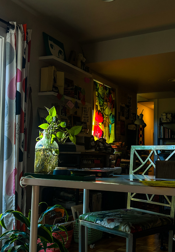 My Everyday Life Week 47 of 2025- Tracy Benjamin of Shutterbean.com